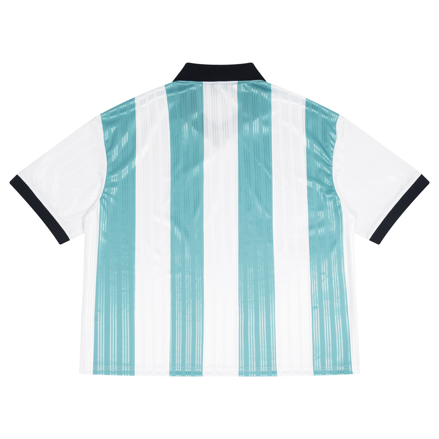 Argentina World Cup Jersey (Striped, Unisex)